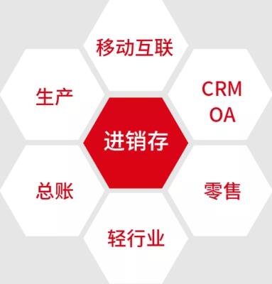 管家婆辉煌II中小企业业务管理平台